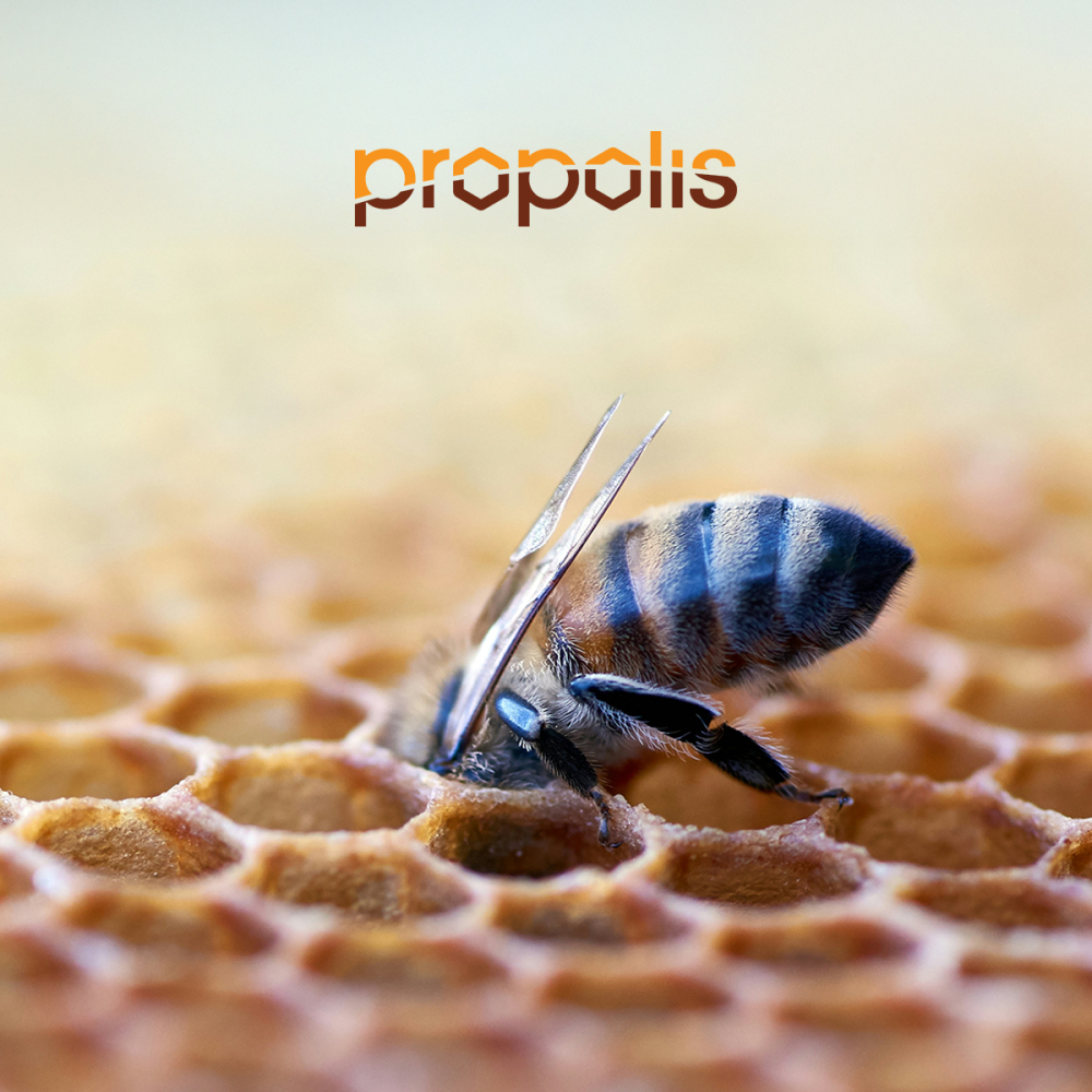 Materac Propolis Vital Materasso