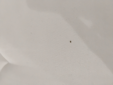 Materac King 180x200 Feretti | Ekspozycja