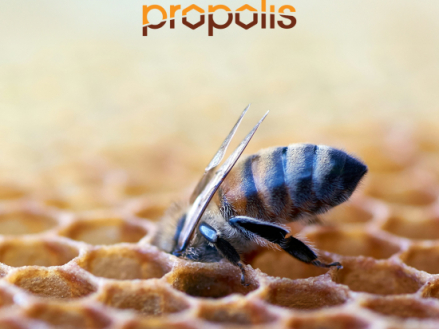 Materac Propolis Vital Materasso