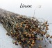 Materac Biogreen Line Materasso