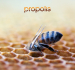 Materac Propolis Vital Materasso